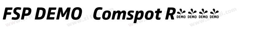 FSP DEMO   Comspot R字体转换